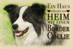 Metallschild Border Collie